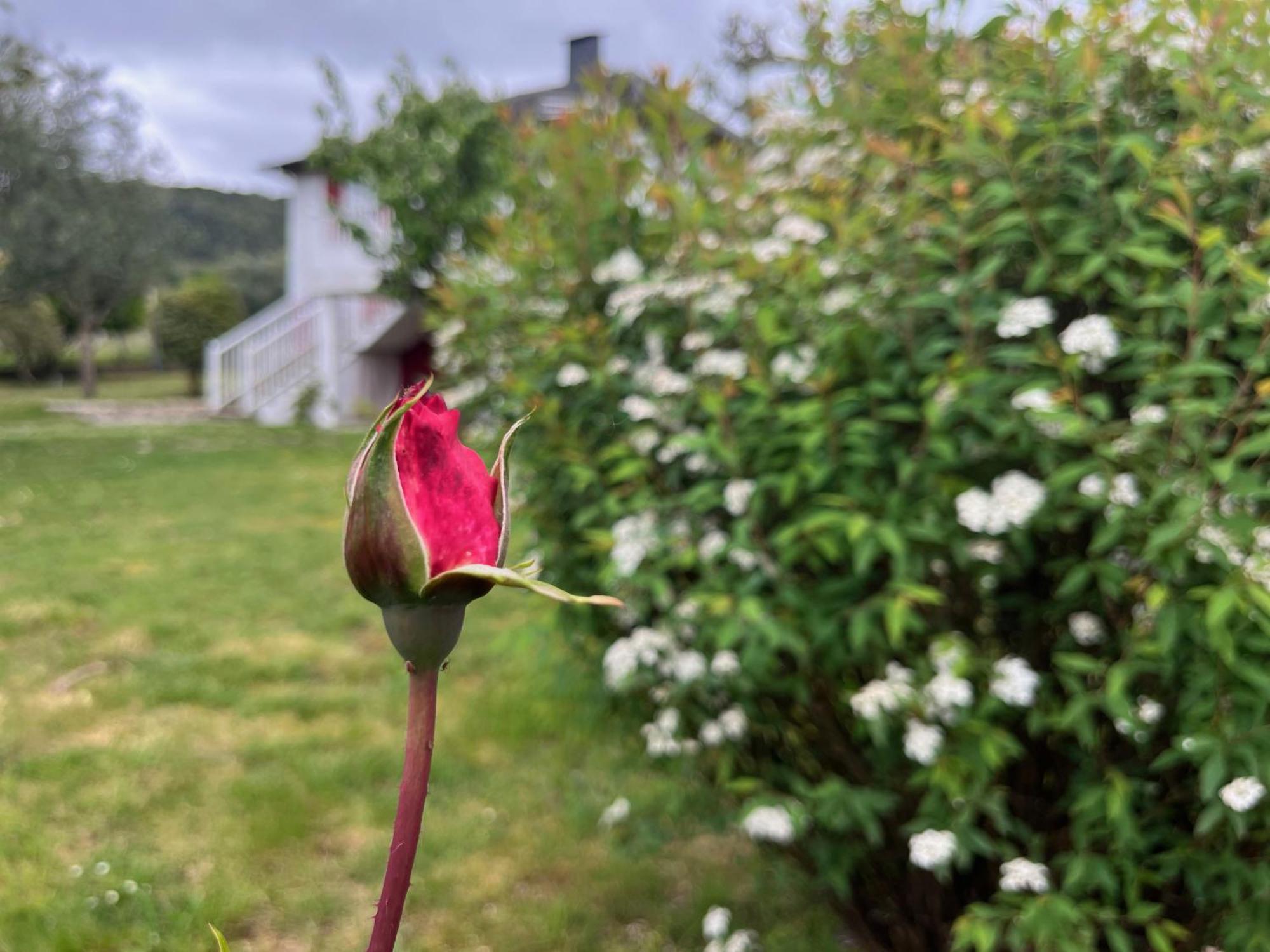 A Casina Casa Rural En Galicia أورينس المظهر الخارجي الصورة