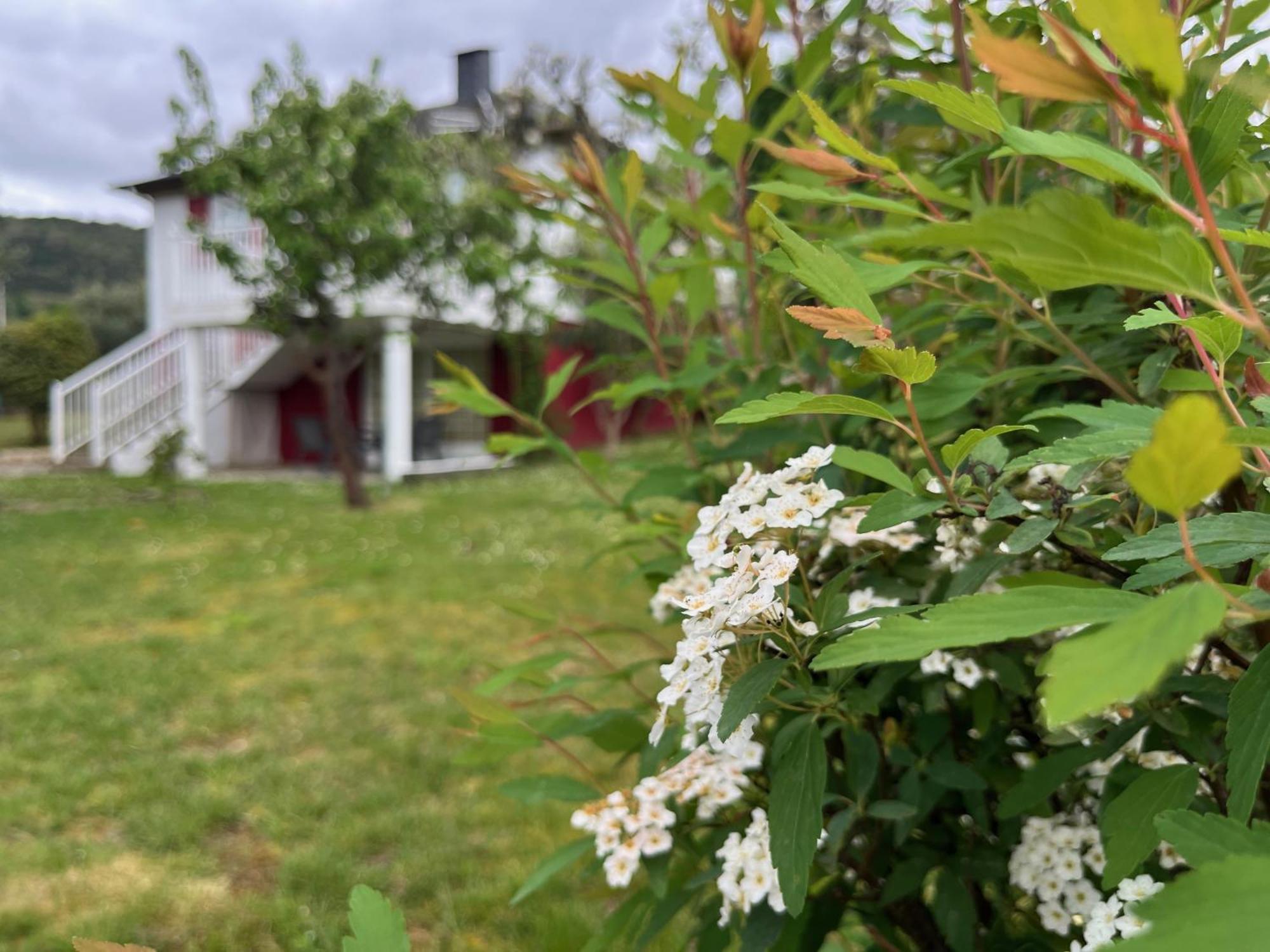 A Casina Casa Rural En Galicia أورينس المظهر الخارجي الصورة