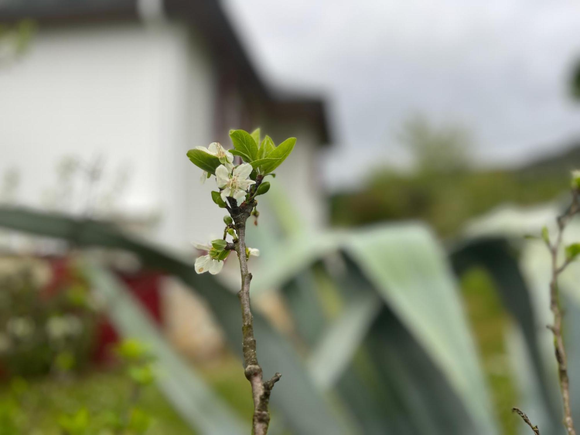 A Casina Casa Rural En Galicia أورينس المظهر الخارجي الصورة